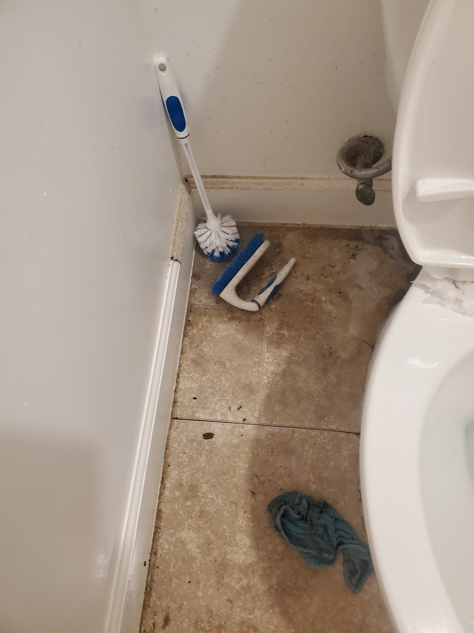 Bathroom floor near toilet before focused cleaning
